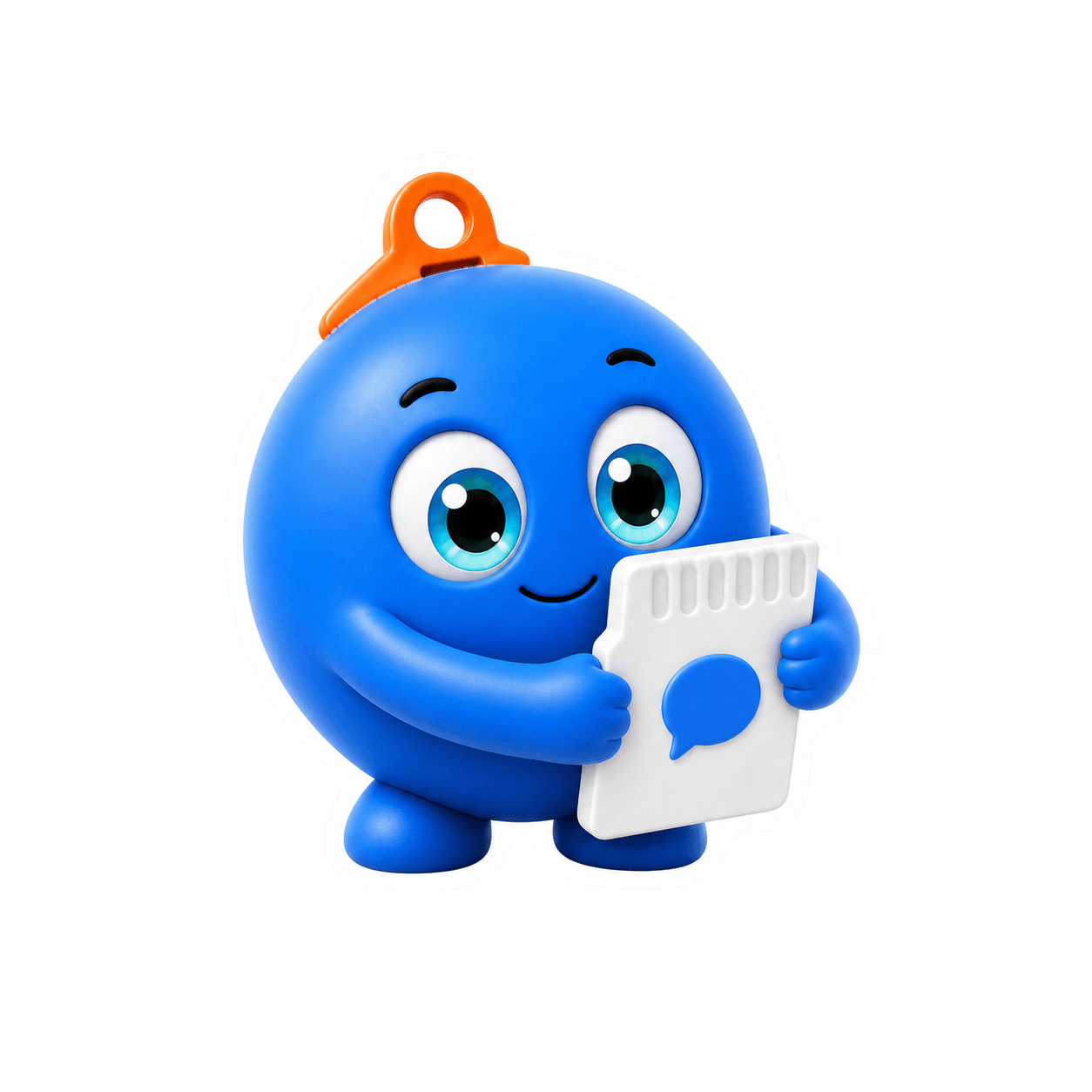 Original Echo hugs one simple memory card.